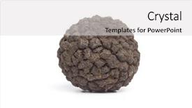  Presentation with winter - Beautiful PPT theme featuring whole single fresh winter truffle mushroom isolated on white background backdrop and a light gray colored foreground