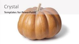  Presentation with single malt - Audience pleasing PPT layouts consisting of whole single muscat de provence pumpkin isolated on white background backdrop and a lemonade colored foreground