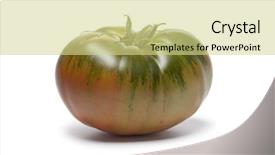  Presentation with tomato ketchup single red - Amazing slide deck having whole single raf heirloom tomato backdrop and a soft green colored foreground