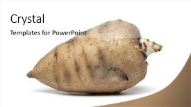  Presentation with white clay tiled roof - PPT theme with whole single turnip-rooted chervil isolated on white background background and a white colored foreground