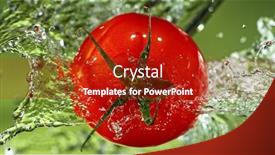  Presentation with fresh water - Slide set consisting of whole-tomato-with-water-splashes background and a crimson colored foreground