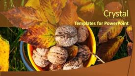  Presentation with walnut - Cool new PPT theme with whole walnuts and walnut kernels new harvest just cropped backdrop and a tawny brown colored foreground