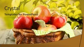  Presentation with red apple tree - Audience pleasing slide deck consisting of wicker basket of red apples backdrop and a yellow colored foreground