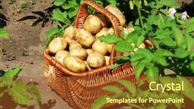  Presentation with potato crop - Audience pleasing PPT layouts consisting of wicker basket over potato plantation backdrop and a tawny brown colored foreground