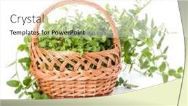  Presentation with mint - PPT layouts having wicker-basket-with-fresh-mint background and a white colored foreground