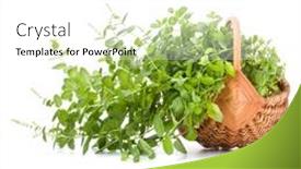  Presentation with mint - Presentation theme consisting of wicker-basket-with-fresh-mint background and a  colored foreground