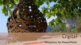  Presentation with lantern - PPT theme having wicker lantern at the tree background and a coral colored foreground
