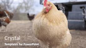  Presentation with wide - Slide deck consisting of wide-angle-close-up-view background and a gray colored foreground