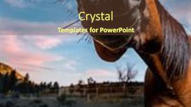  Presentation with horse anatomy - Audience pleasing PPT theme consisting of wide-angle-lens backdrop and a tawny brown colored foreground