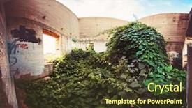  Presentation with weeds - Slide deck consisting of wide angle shot of an abandoned brick structure with weeds and ivy growing inside toned with a retro vintage instagram filter app or action effect background and a tawny brown colored foreground