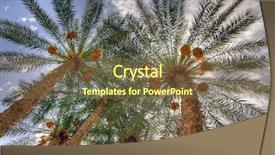  Presentation with date palm - Presentation theme having wide angle view palm date background and a tawny brown colored foreground