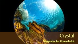  Presentation with blue water - Beautiful presentation theme featuring wide-circular-fisheye-perspective backdrop and a tawny brown colored foreground