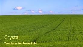  Presentation with wide - Theme consisting of wide-field-with-young-green background and a tawny brown colored foreground