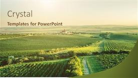  Presentation with plantation - Slide deck with wide-grapes-plantation-near-village background and a cream colored foreground