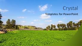  Presentation with february - Audience pleasing PPT layouts consisting of wide-green-meadow-with-lush backdrop and a light blue colored foreground