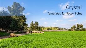 Presentation with dirt - PPT layouts featuring wide-green-meadow-with-lush background and a light blue colored foreground