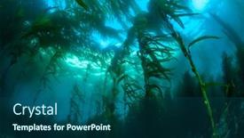  Presentation with classic - Audience pleasing PPT layouts consisting of wide-perspective-of-a-classic backdrop and a ocean colored foreground