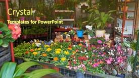  Presentation with nursery - Slide set featuring wide-range-of-flowers background and a tawny brown colored foreground