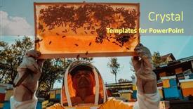  Presentation with wide - PPT layouts having wide-shot-of-a-beekeeper background and a tawny brown colored foreground
