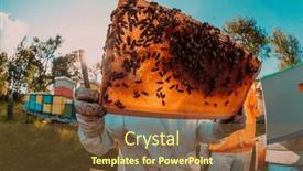  Presentation with wide - Slides enhanced with wide-shot-of-a-beekeeper background and a tawny brown colored foreground