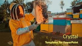  Presentation with wide - PPT layouts featuring wide-shot-of-a-beekeeper background and a tawny brown colored foreground