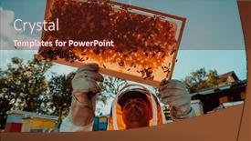  Presentation with wide - Slide deck having wide-shot-of-a-beekeeper background and a tawny brown colored foreground