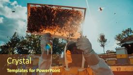  Presentation with wide - Slide deck with wide-shot-of-a-beekeeper background and a tawny brown colored foreground