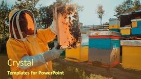  Presentation with wide - Slide deck featuring wide-shot-of-a-beekeeper background and a tawny brown colored foreground