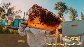  Presentation with wide - Presentation theme featuring wide-shot-of-a-beekeeper background and a tawny brown colored foreground