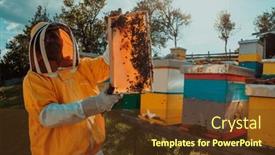  Presentation with wide - Presentation theme having wide-shot-of-a-beekeeper background and a tawny brown colored foreground