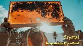  Presentation with wide - PPT layouts with wide-shot-of-a-beekeeper background and a tawny brown colored foreground