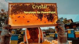  Presentation with wide - Presentation theme enhanced with wide-shot-of-a-beekeeper background and a tawny brown colored foreground