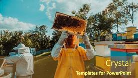  Presentation with wide - PPT theme consisting of wide-shot-of-a-beekeeper background and a tawny brown colored foreground