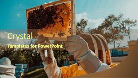  Presentation with wide - Presentation design featuring wide-shot-of-a-beekeeper background and a tawny brown colored foreground