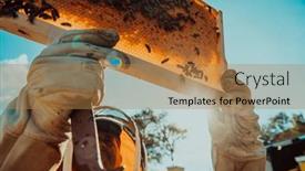  Presentation with wide - Presentation theme consisting of wide-shot-of-a-beekeeper background and a coral colored foreground