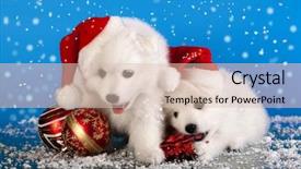  Presentation with white christmas - Slide deck consisting of wiener dog - christmas puppies white pomeranian spitz background and a lemonade colored foreground