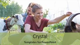  Presentation with husband and wife 3 d - Audience pleasing presentation theme consisting of wife tending to their goat backdrop and a mint green colored foreground