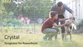  Presentation with goat farm - Slides featuring wife tending to their goat background and a soft green colored foreground