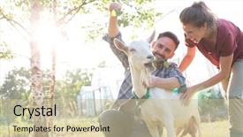  Presentation with goat farm - Cool new presentation theme with wife tending to their goat backdrop and a soft green colored foreground