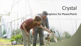  Presentation with goat farm - Audience pleasing PPT layouts consisting of wife tending to their goat backdrop and a white colored foreground