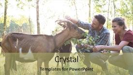  Presentation with goat farm - Theme featuring wife tending to their goat background and a mint green colored foreground