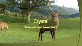 Presentation with deer - PPT theme featuring wika - deer at mount wakakusa background and a tawny brown colored foreground