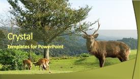  Presentation with deer - Cool new slide deck with wika - group of deer in mountain backdrop and a tawny brown colored foreground