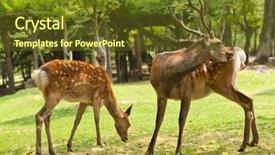  Presentation with sacred games - PPT theme with wika - one of the famous sacred background and a tawny brown colored foreground