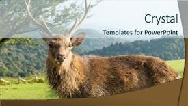  Presentation with deer - Audience pleasing PPT layouts consisting of wika - stag deer at mount wakakusa backdrop and a  colored foreground