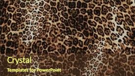  Presentation with skin - PPT layouts featuring wild african animal skin texture background and a tawny brown colored foreground