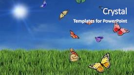  Presentation with butterflies - Amazing slides having wild and free butterflies backdrop and a ocean colored foreground