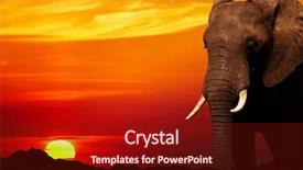  Presentation with african sunset - Audience pleasing PPT theme consisting of wild animals - african elephant in savanna backdrop and a tawny brown colored foreground