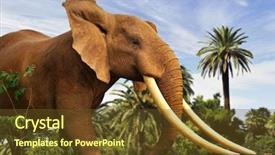  Presentation with elephant - PPT theme with wild animals - african elephant background and a tawny brown colored foreground