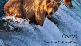  Presentation with brown bear - Slide deck featuring wild animals - brown bear on alaska background and a teal colored foreground